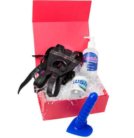 A strap-on pegging kit with harness, dildo, lube and sex toy cleaner