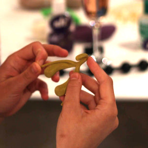 3D Clitoris model