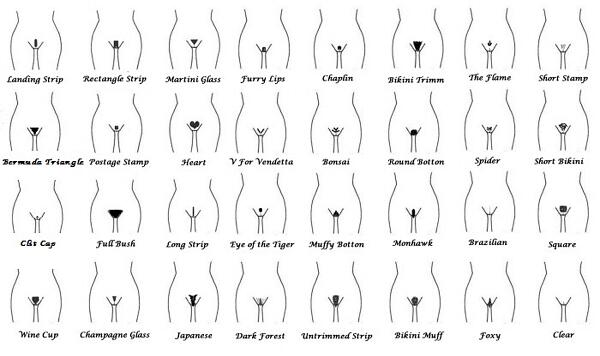 Different-Pubic-Hairstyles-easy-hairstyling-jYOi