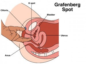 Your G-Spot