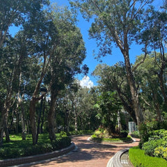 Beautiful view of pathway, fountain and grass