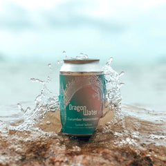 Can of Dragon Water Spiked Seltzer on the shoreline with a wave splashing around it