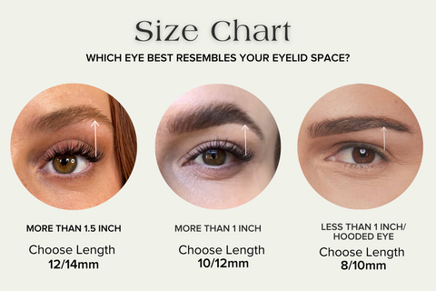 Eyelash length size chart