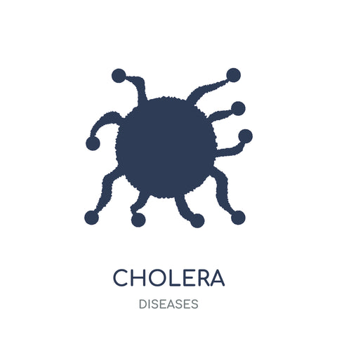 Cholera Diseases