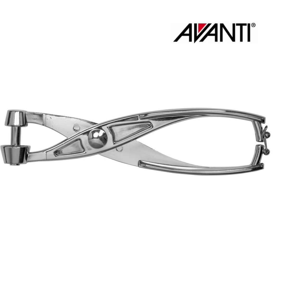 Avanti Alloy Cherry And Olive Pitter