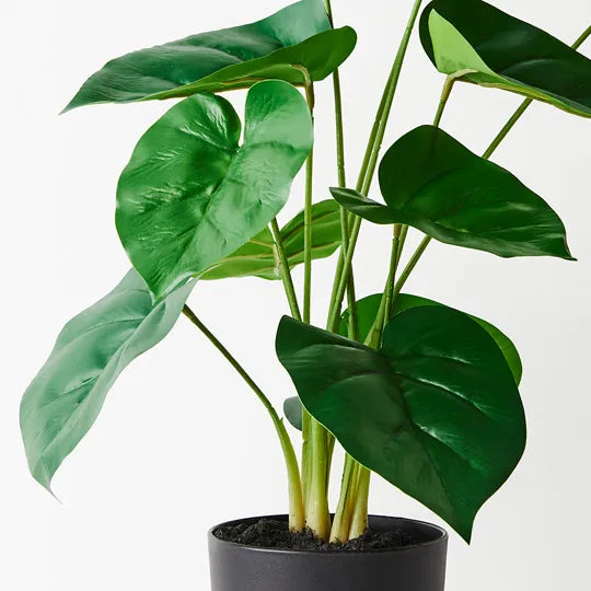 ARTIFICIAL PLANT™ Philodendron Plant Green (50cmh)
