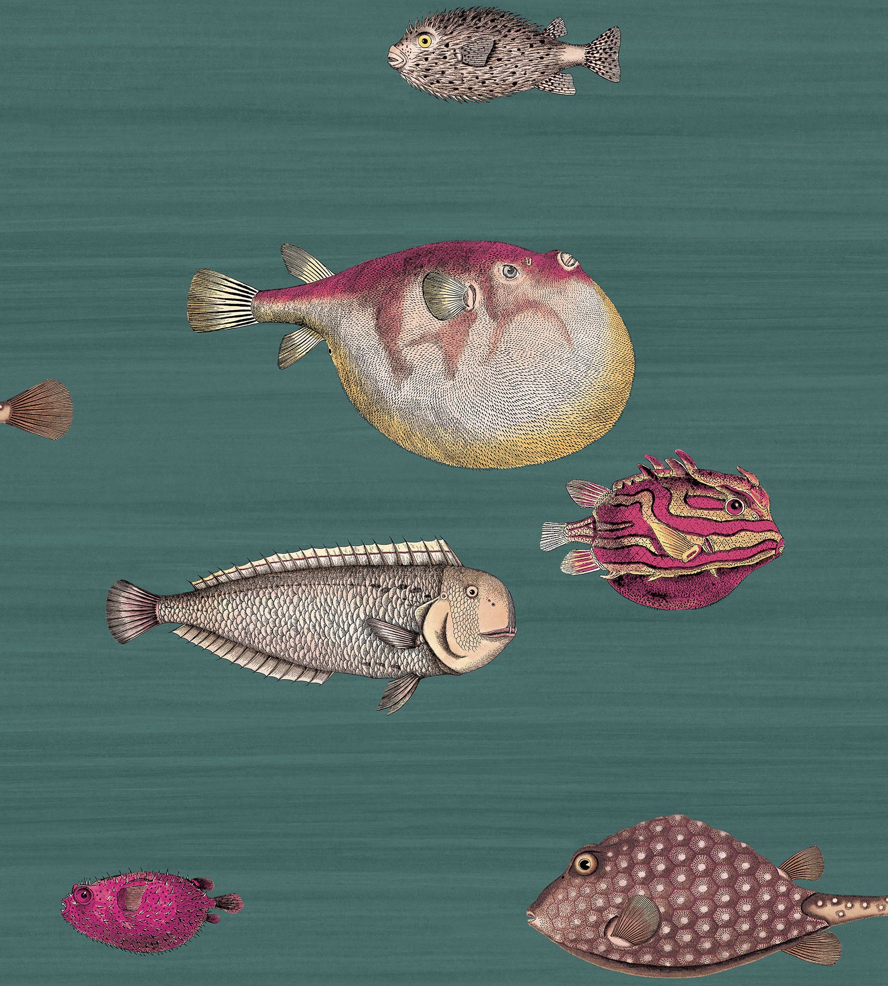 Acquario by Cole  Son  Soft Aqua  Wallpaper  Wallpaper Direct
