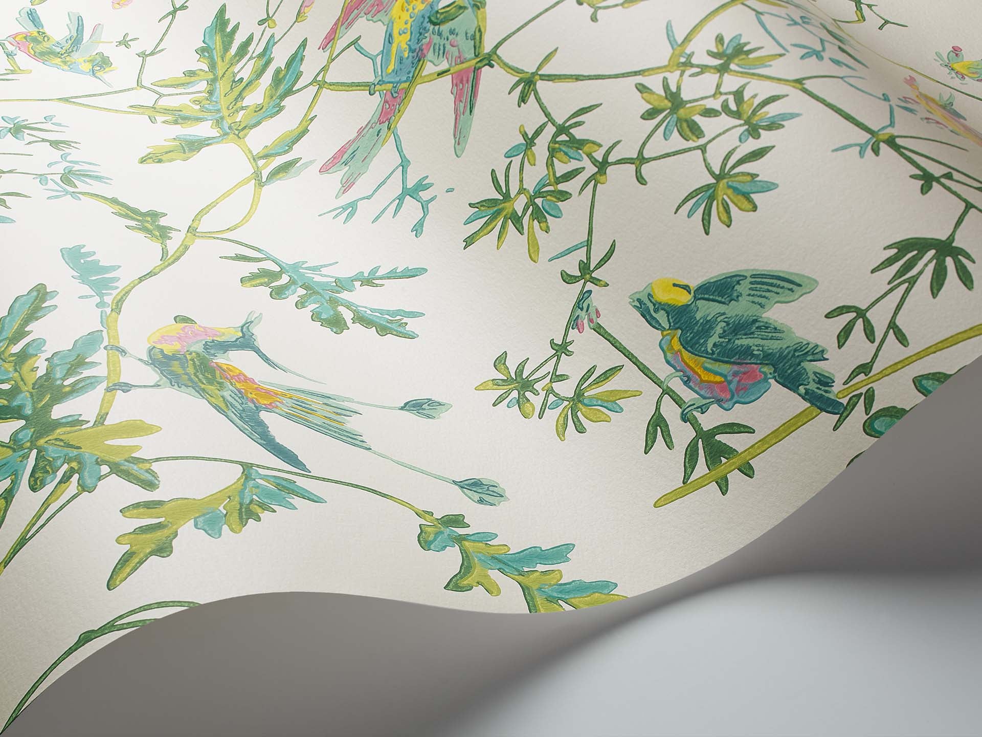 Hummingbirds Wallpaper  Cole and Son