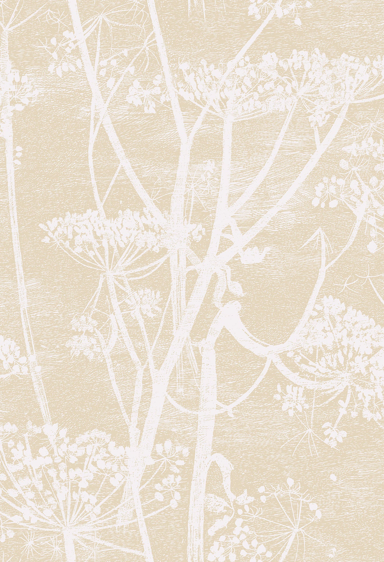 Cow Parsley Linen - Cole & Son