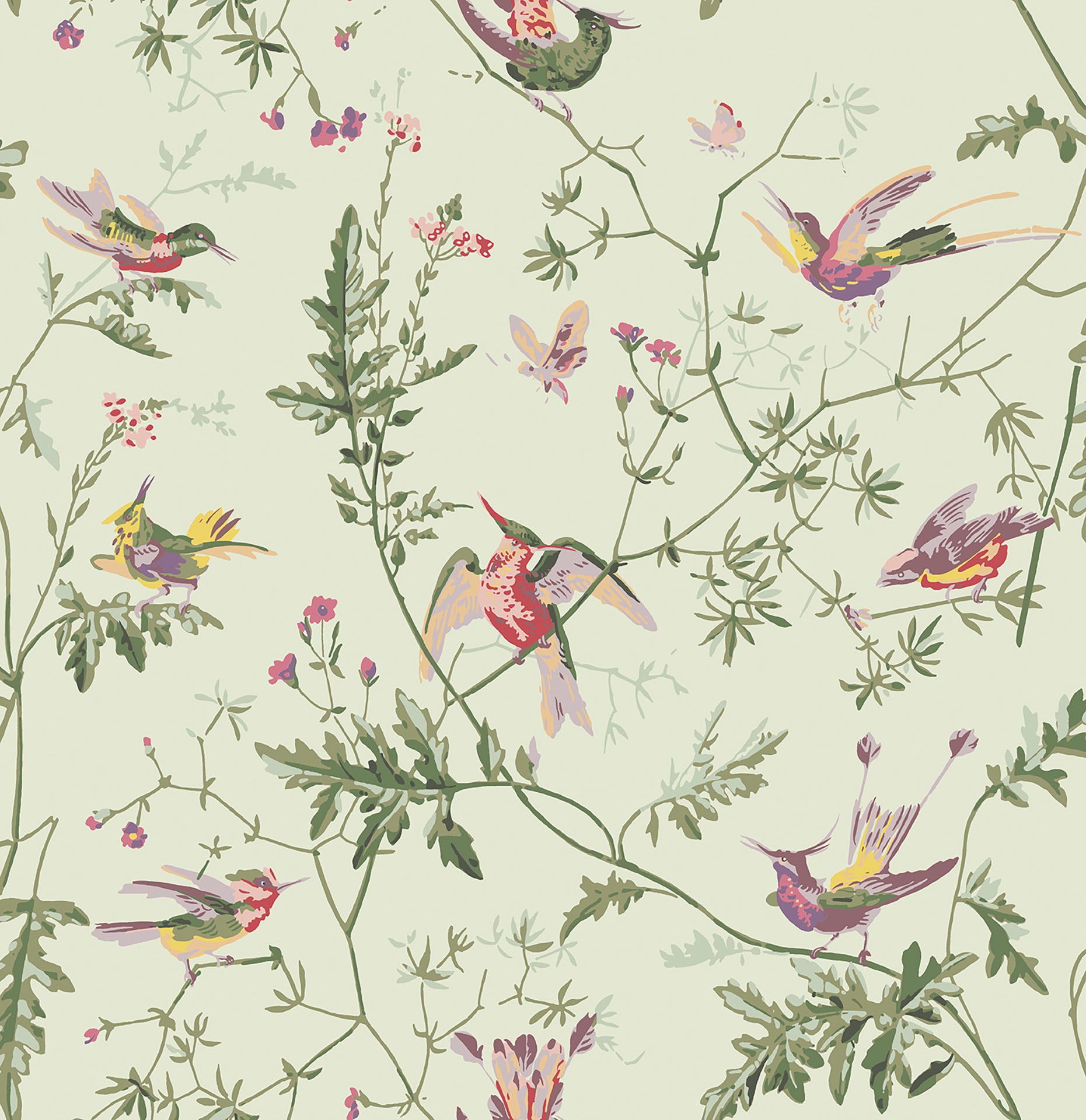 Cole Son Hummingbirds Wallpaper  Style Charade