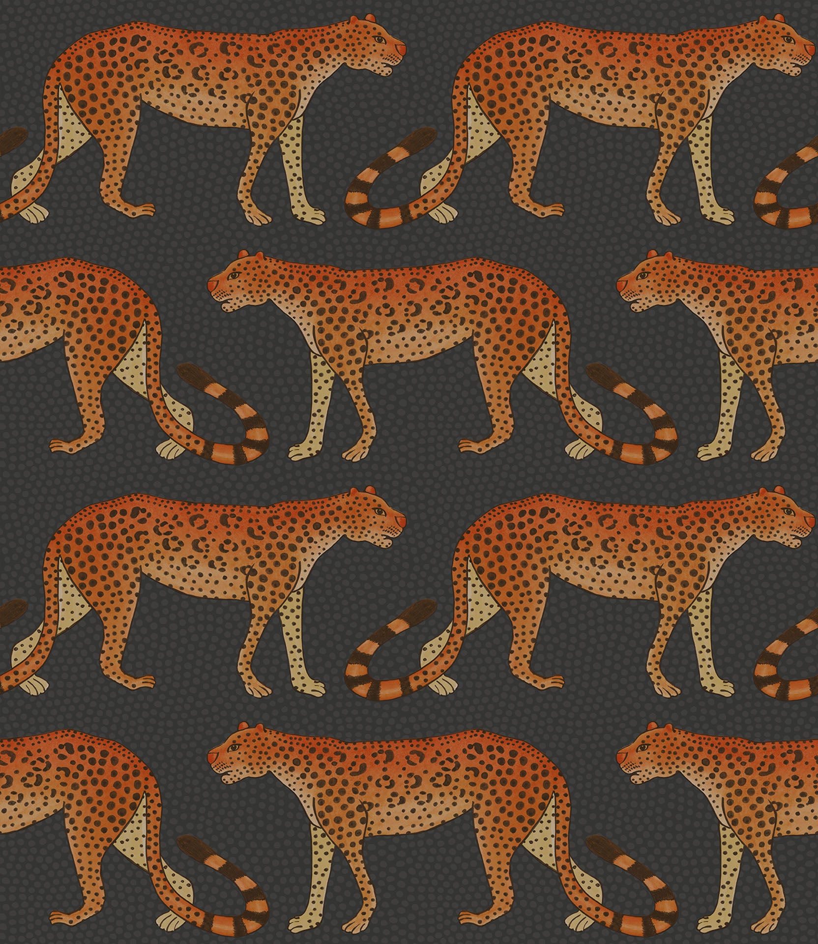 970+] Leopard Wallpapers