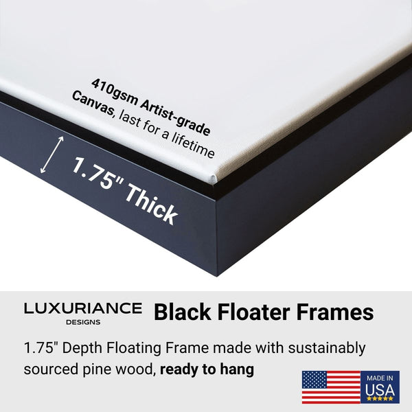 Luxuriance Designs Black Floater Frame Wall Art Detail