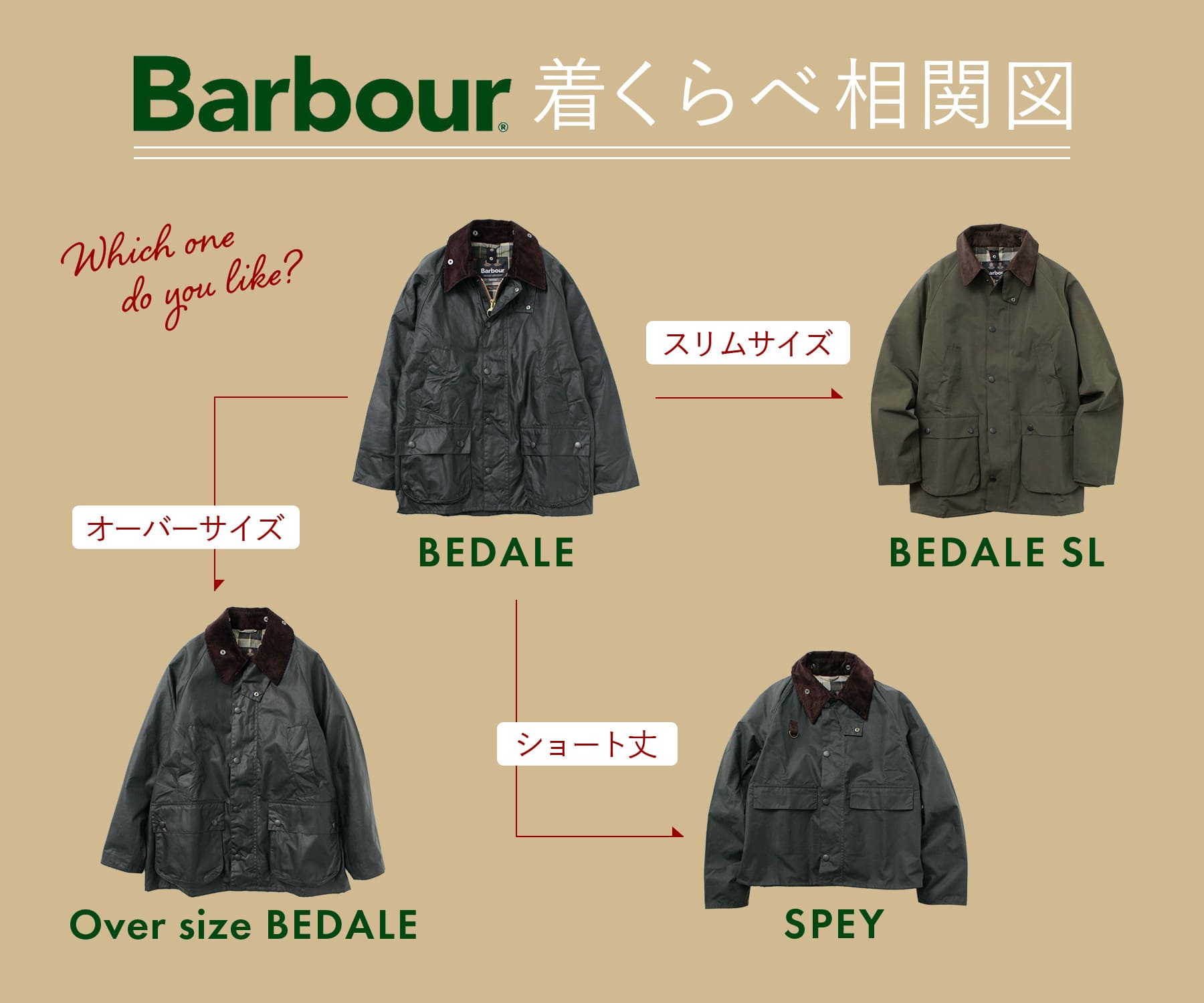 barbour