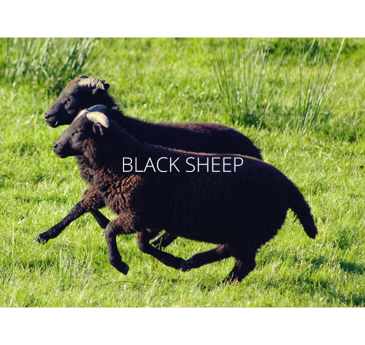 BLACK SHEEP（ブラックシープ） ニットグローブ / ウール / 手袋 / メンズ レディース / イギリス製