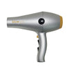 Picture of Titanium Gold Style Dryer