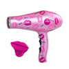 Picture of Kiss Edition Titanium Dryer