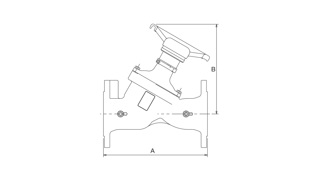 Variable Orifice Double Regulating Valve (DRV) Crane 3 นิ้ว Ductile 080,PTFE End Flange, PN16 Model DM931