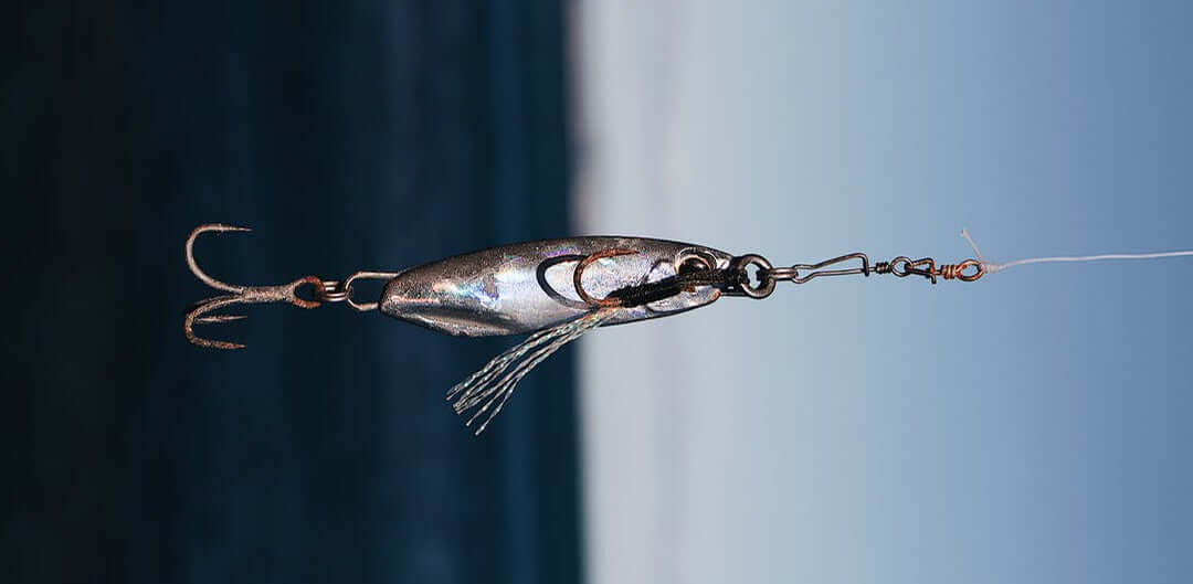 Best Lures for Barramundi: Best Tips to Catch Barra