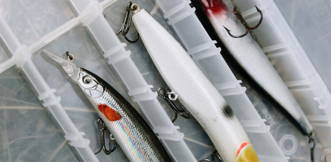 What is the Best Surface Lure and How to use it?