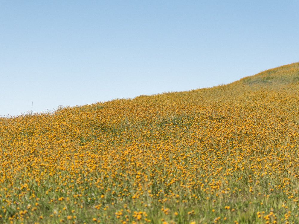 desert overland supply carrizo plain national monument