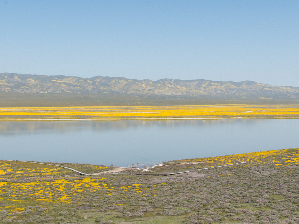 carrizo plain national monument desert overland supply