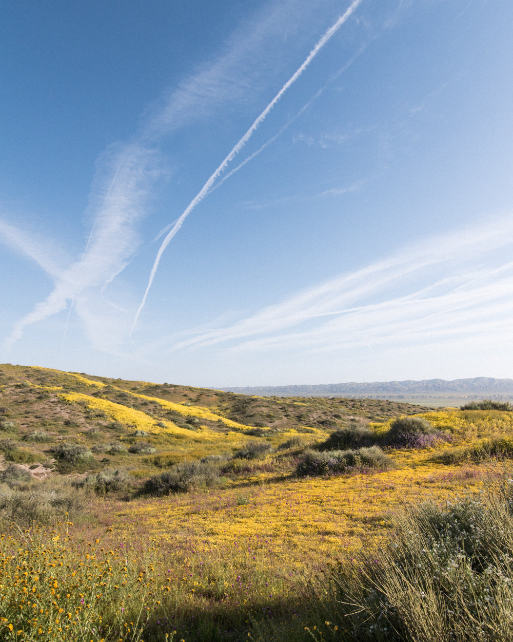 desert overland supply carrizo plain national monument