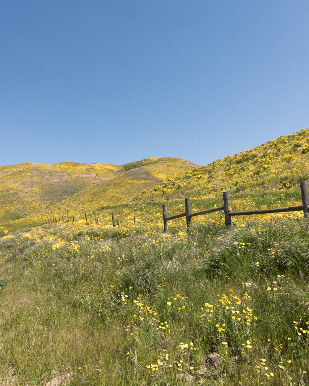 desert overland supply carrizo plain national monument