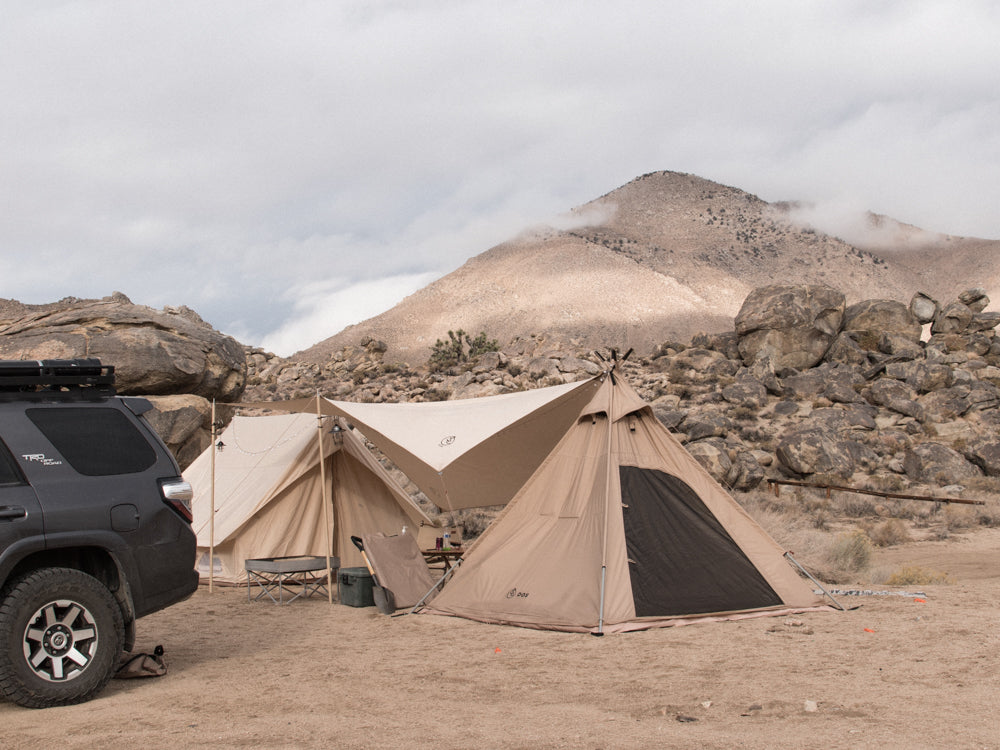 desert overland supply horse bird canyon