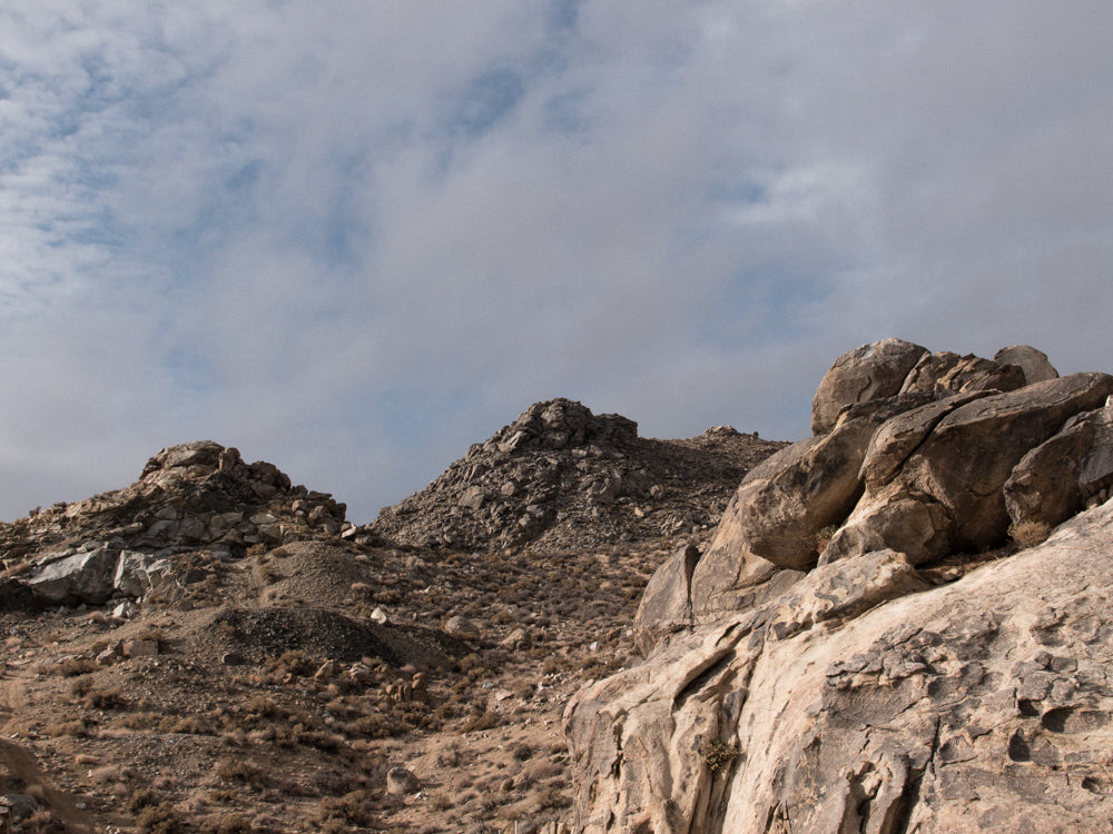 desert overland supply horse bird canyon