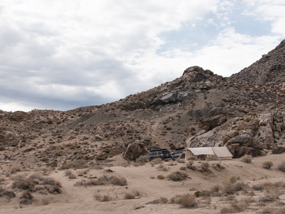 desert overland supply horse bird canyon