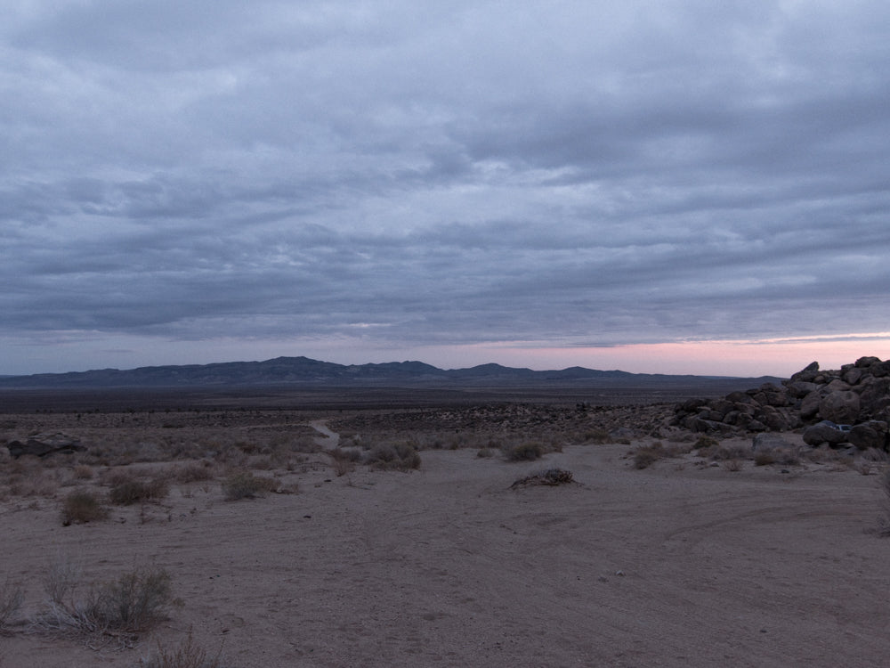 desert overland supply horse bird canyon