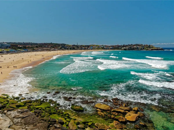 Bondi Beach