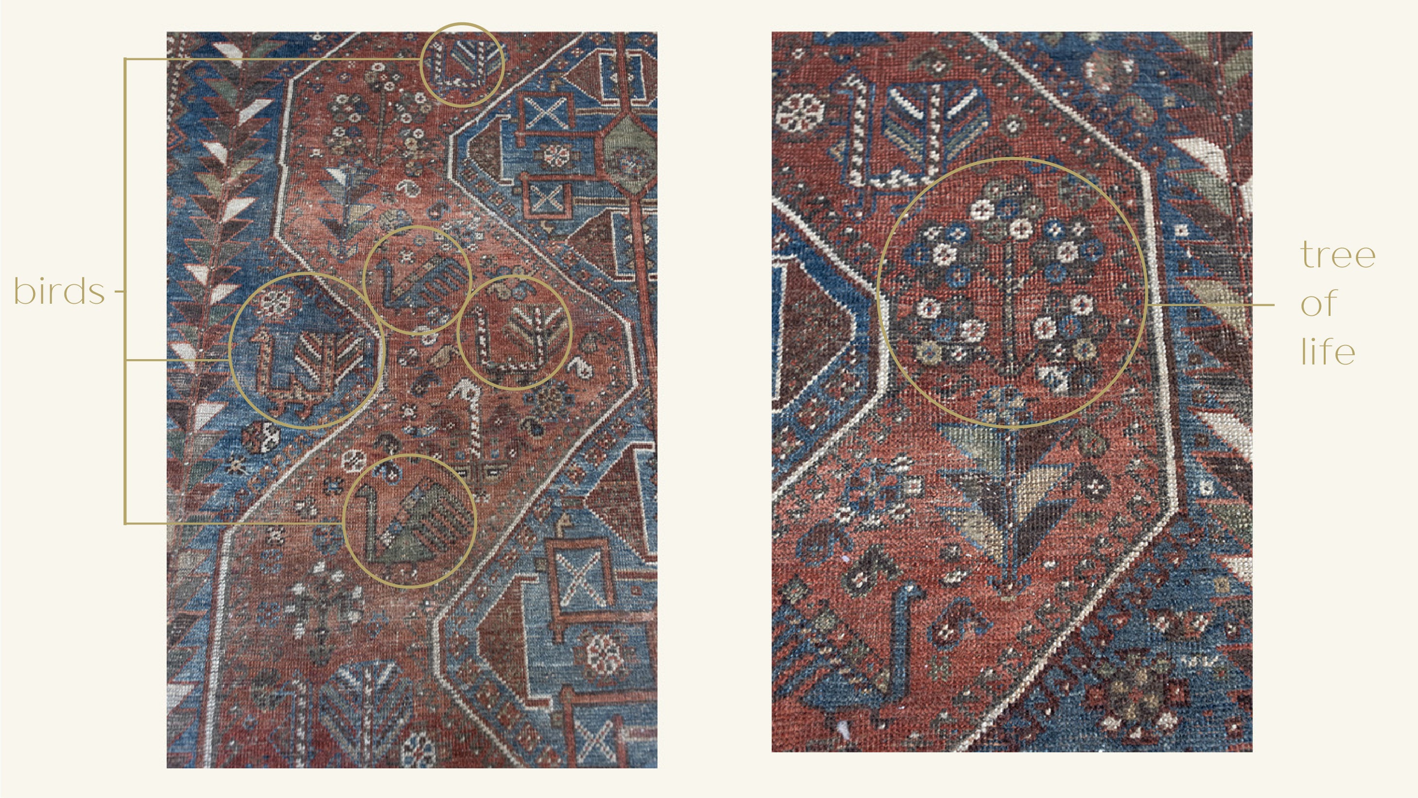 Vintage Persian Shiraz rug, bird motif and meaning, nightingale 