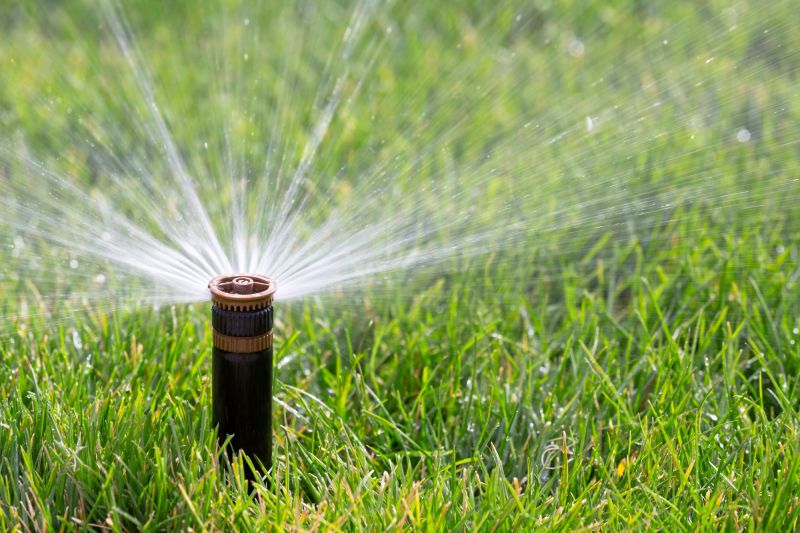 A sprinkler watering the lawn.