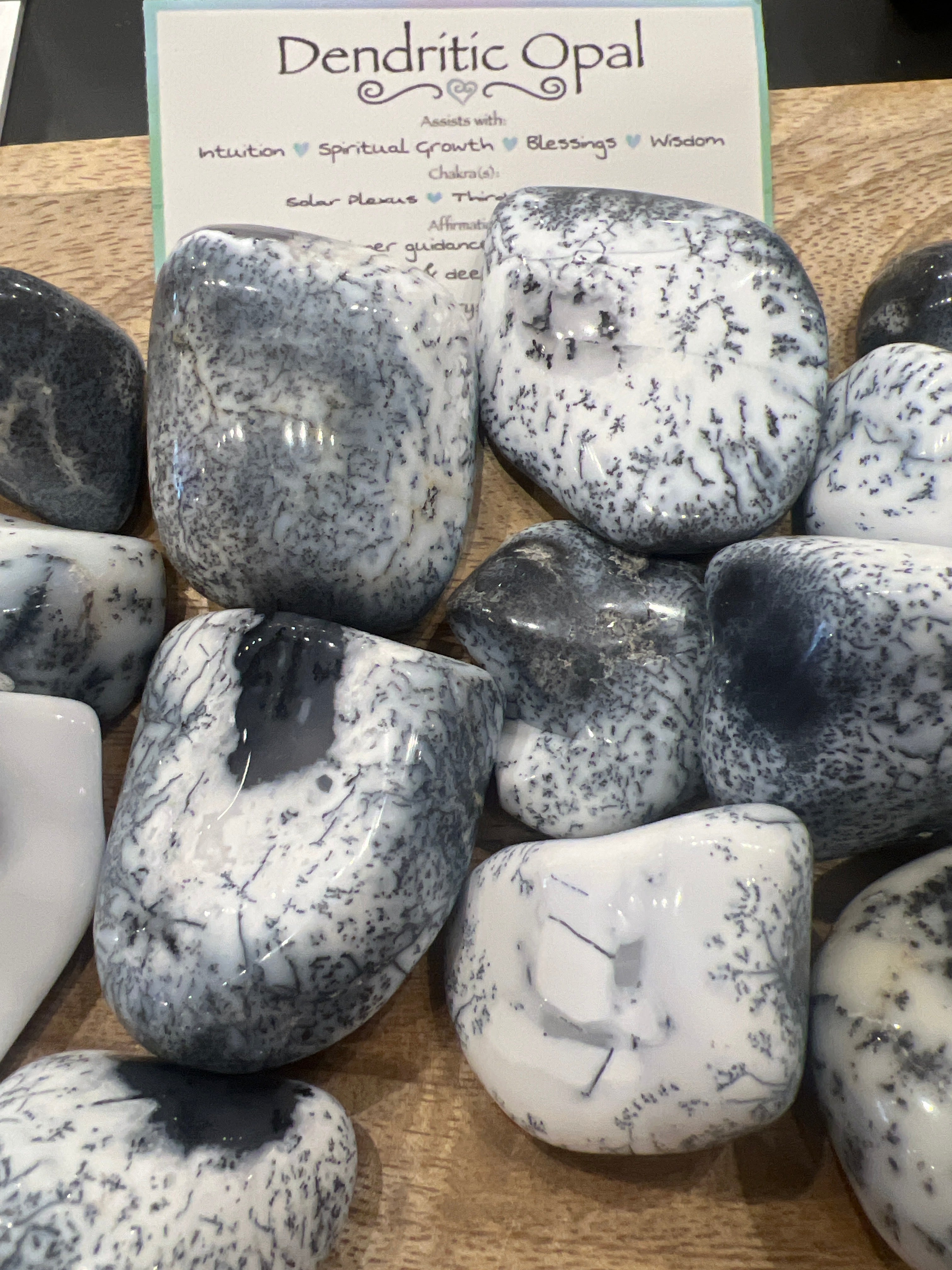 Dendritic Opal Palm Stone
