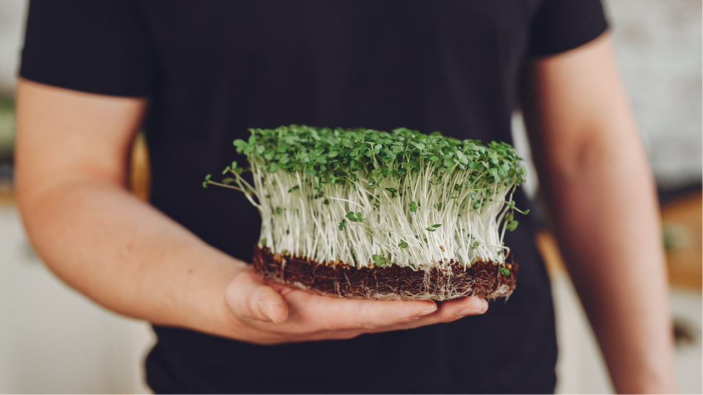 Man holding microgreens