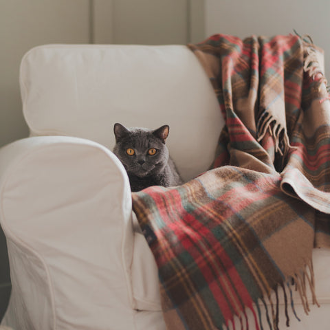 Recycled Wool Blanket 