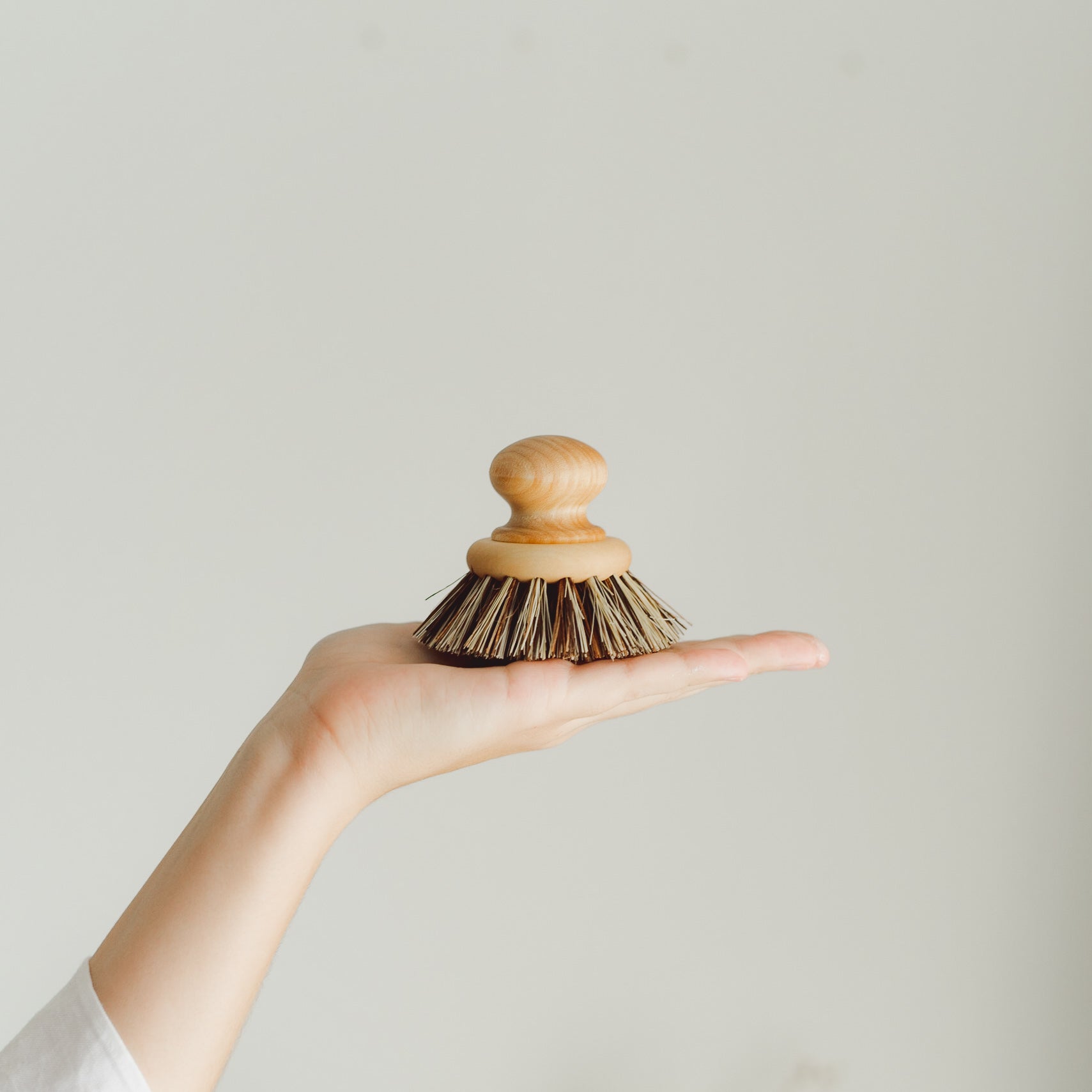 Wooden Dish Brush - Horsehair Bristles — Sunday Shop