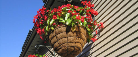 Amazing Benefits Of Basket Planters For Your Plant