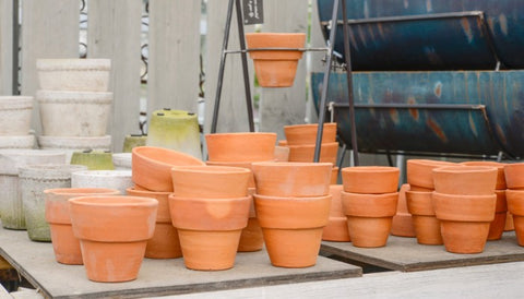Ceramic Vs. Terracotta Pots: Which Is Better? - Terracotta Pots