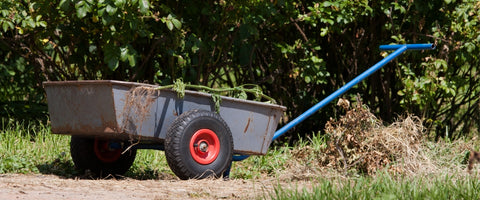 12 Essential Gardening Tools for Beginners in 2024 - Garden Cart