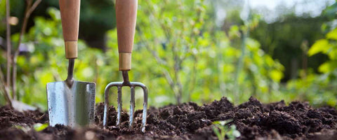 12 Essential Gardening Tools for Beginners in 2024 - Garden Fork