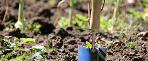 12 Essential Gardening Tools for Beginners in 2024 - Hand Trowel