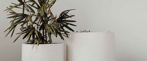 Large Decorative Ceramic Planters and Pots For Indoor Plants