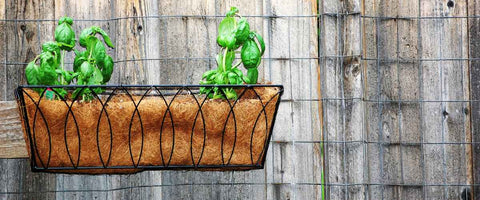15 Indoor Plant Wall Decor Ideas - Plants in wire baskets