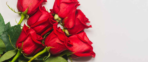How to Choose the Perfect Flowers for Almost Any Occasion? - Roses