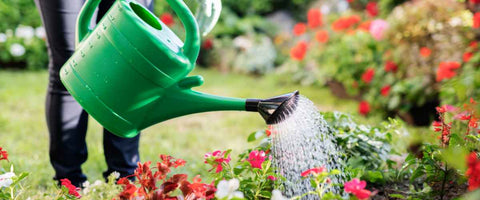 12 Essential Gardening Tools for Beginners in 2024 - Watering Can