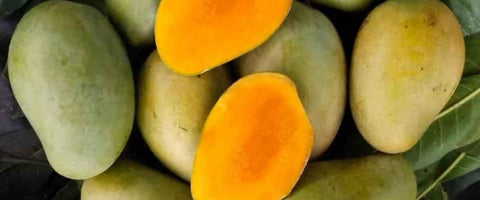 The Top 21 Verities of Mango in India - Amrapali Mango