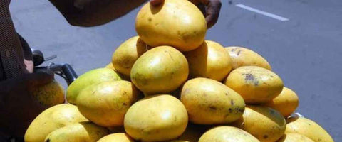 The Top 21 Verities of Mango in India - Banganpalli Mango