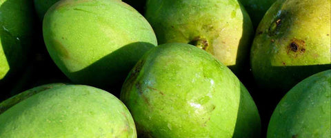 The Top 21 Verities of Mango in India - Bombay Green Mango